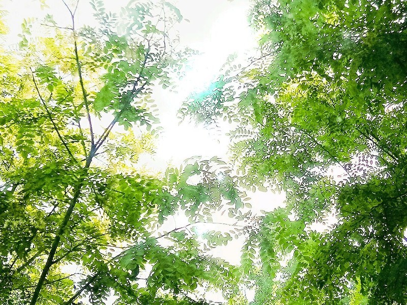 摄影集blingblingж