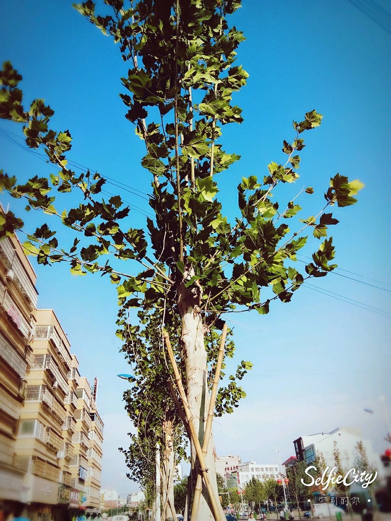 摄影集blingblingж