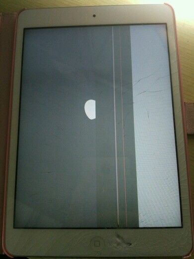 iPad mini被砸成了这样还能修好么