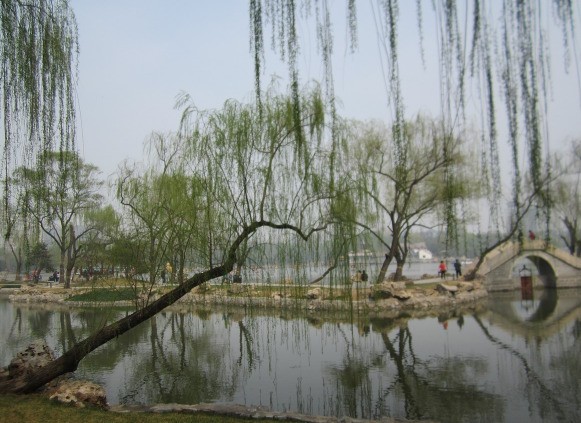 繁花盛开，春色无边。