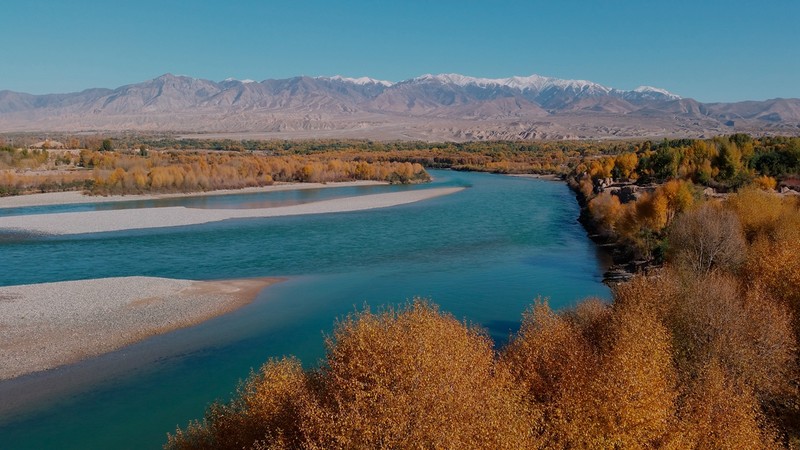 手机看世界~秋色连波