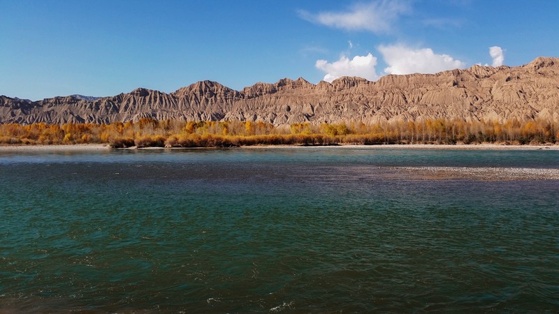手机看世界~秋色连波