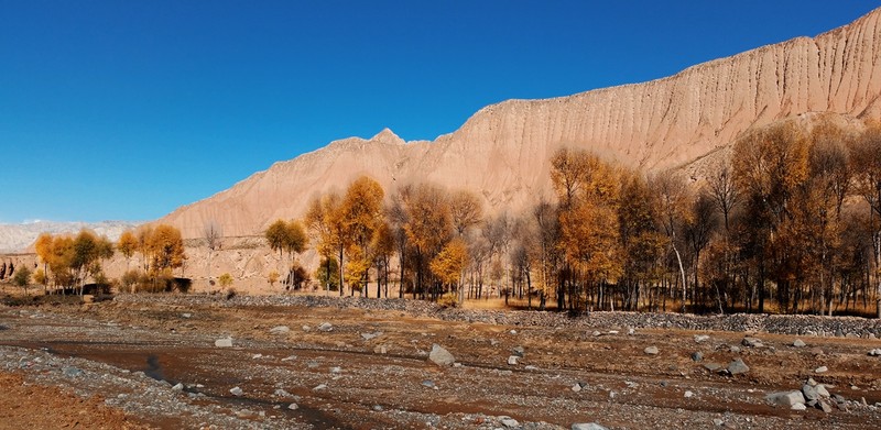 手机看世界~秋色连波