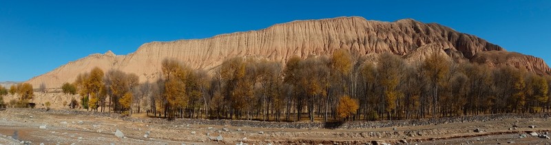 手机看世界~秋色连波