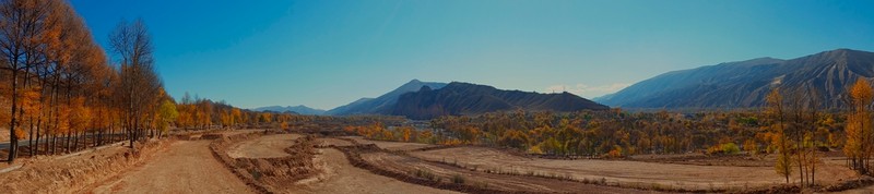 手机看世界~秋色连波