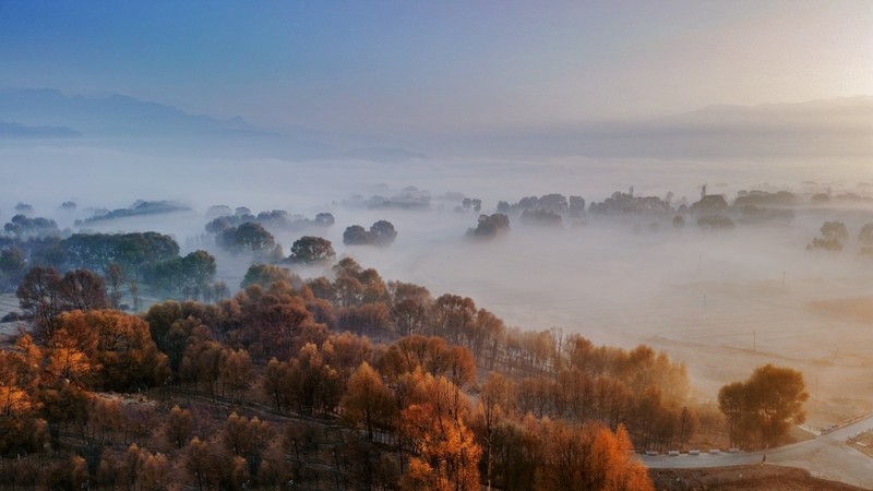 手机看世界~秋色连波