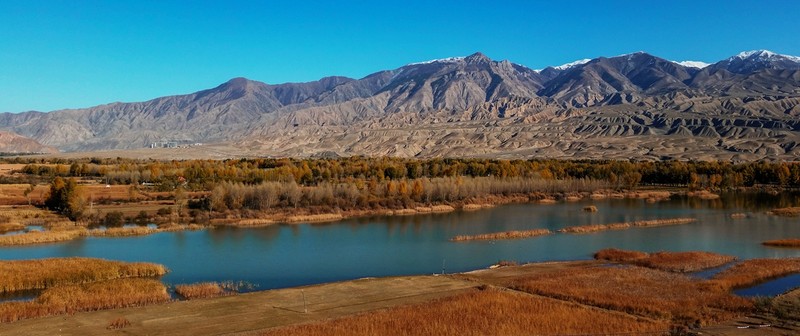 手机看世界~秋色连波