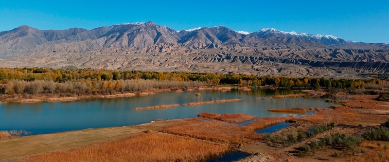 手机看世界~秋色连波