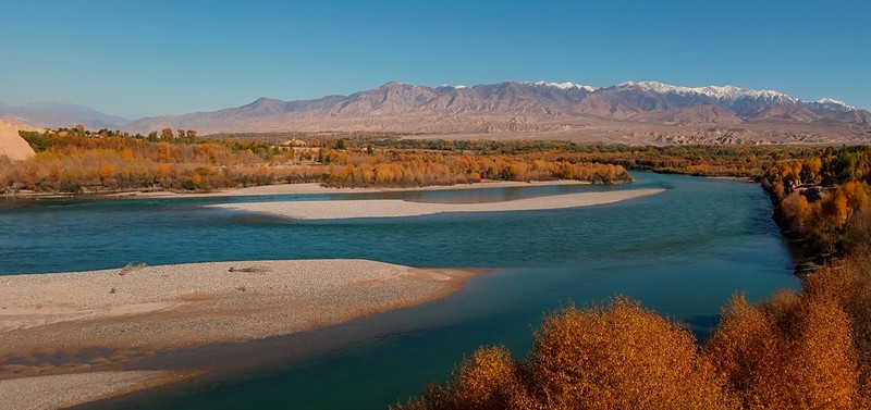 手机看世界~秋色连波