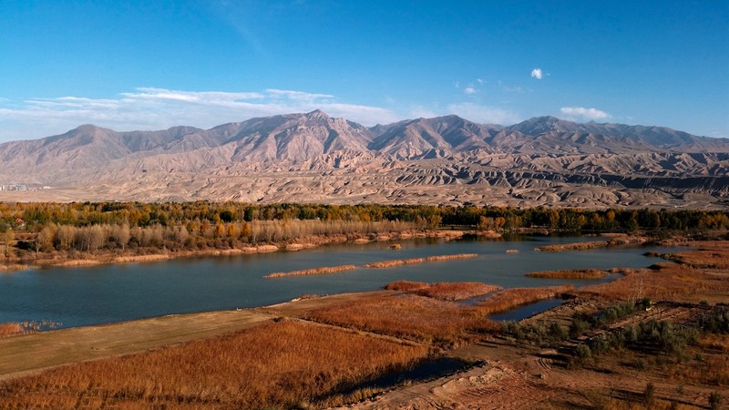 手机看世界~秋色连波