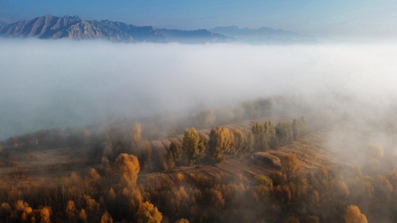 手机看世界~秋色连波