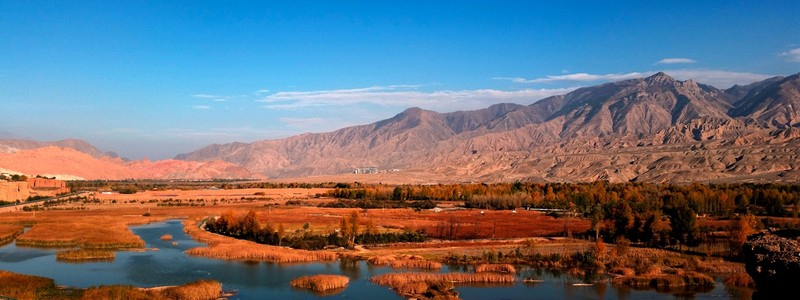 手机看世界~秋色连波