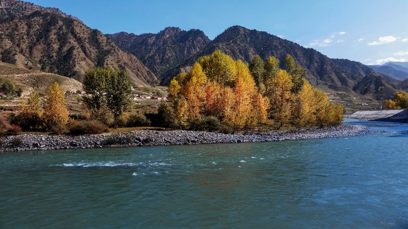 手机看世界~秋色连波