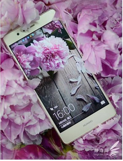 看完这些毕业照 再也不敢说自己懂创意了