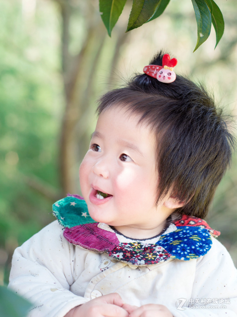 乐在花丛中——贺“侨乡星空(中国)”添新版主