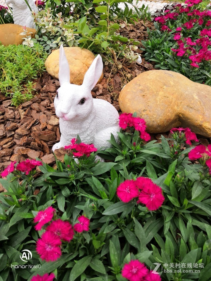 所有不带水印的照片都是耍流氓1392233