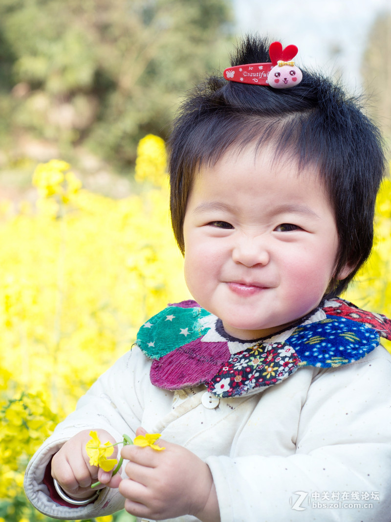 乐在花丛中——贺“侨乡星空(中国)”添新版主