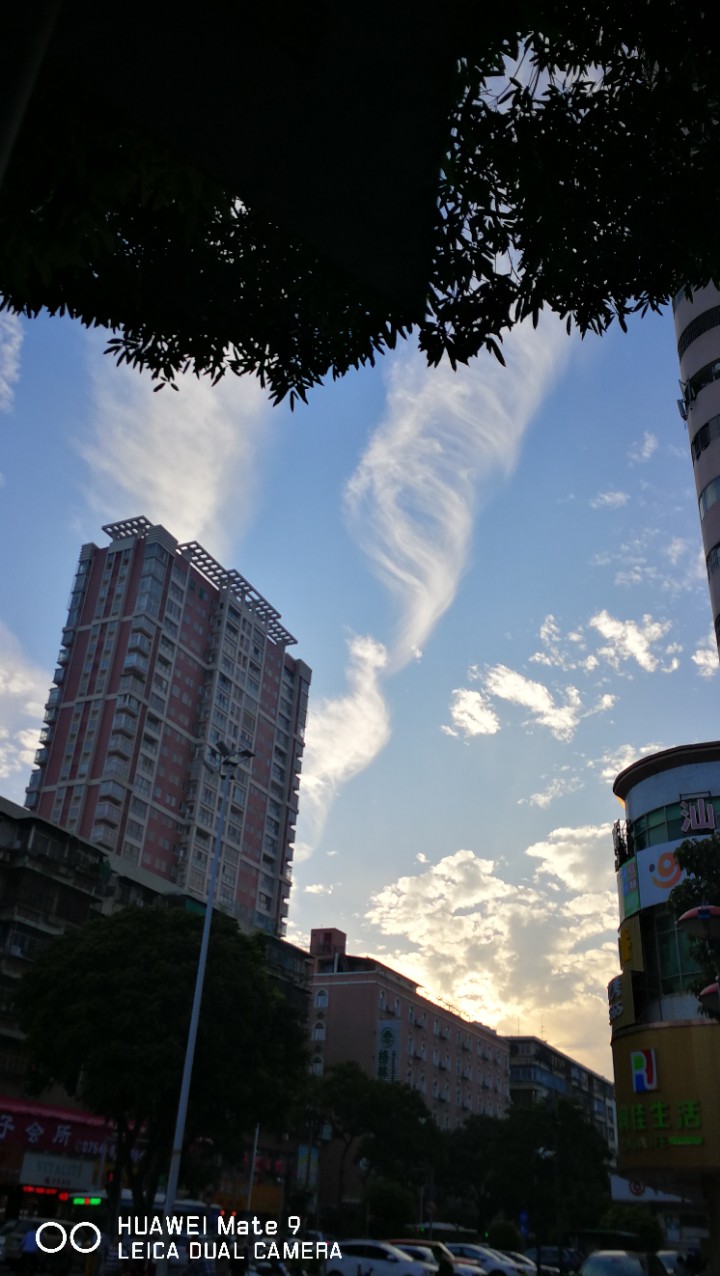 实在是不会拍照的技巧