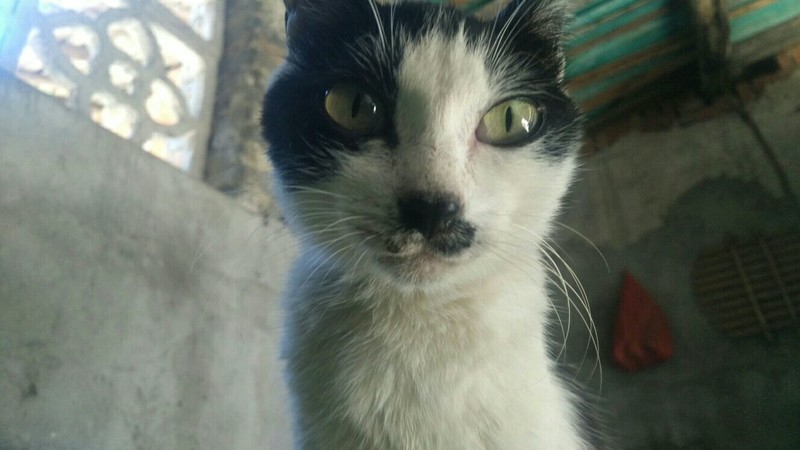 解决相机模糊，原装树脂镜片换玻璃镜片