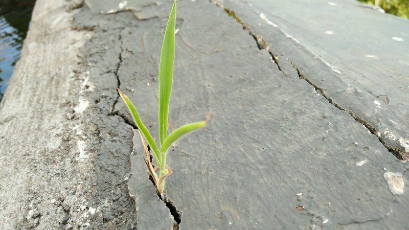 农村小伙摄影顶呱呱