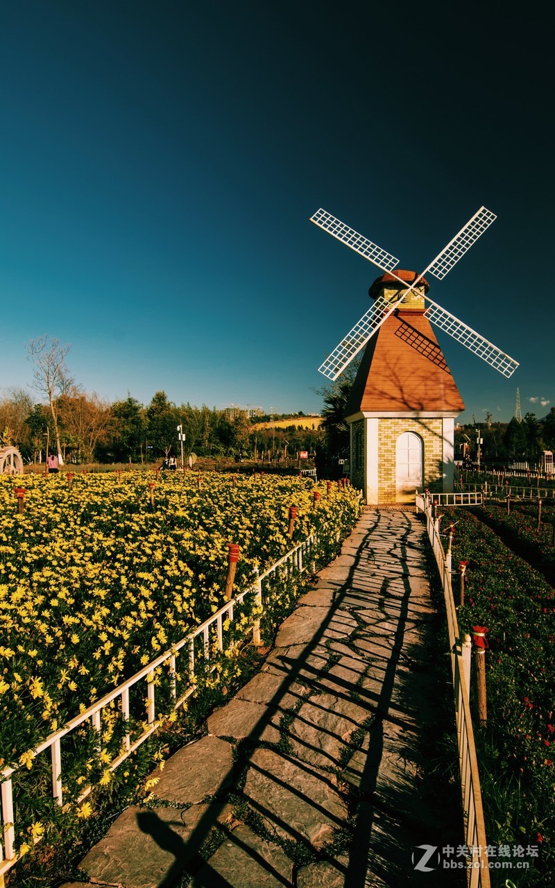 小景．胡乱后期