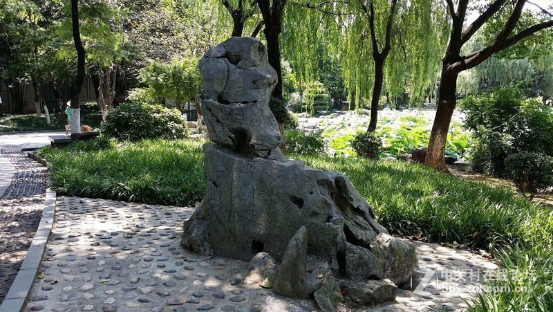 米5S惊爆价,NOTE3拍照对比,好不好看效果,米5S 硬