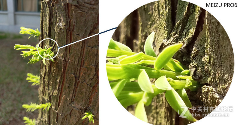 #轻易不说完美# 魅族PRO6专项测评(一)——【PRO6/iPhoneSE/iPhone6s】相机PK战