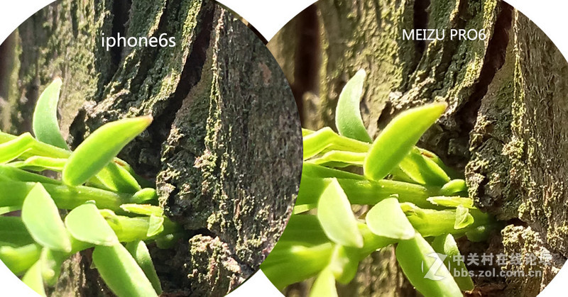 #轻易不说完美# 魅族PRO6专项测评(一)——【PRO6/iPhoneSE/iPhone6s】相机PK战