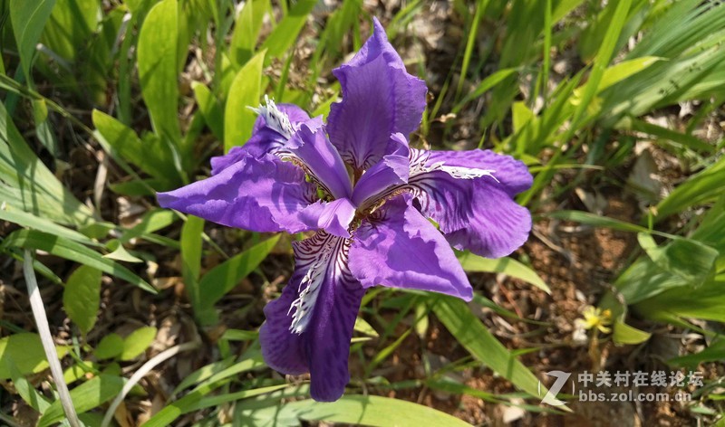 #轻易不说完美# 魅族PRO6专项测评(一)——【PRO6/iPhoneSE/iPhone6s】相机PK战