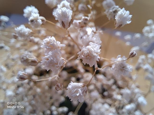 借魅族17之手，我想和魅族聊一聊