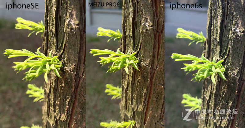 #轻易不说完美# 魅族PRO6专项测评(一)——【PRO6/iPhoneSE/iPhone6s】相机PK战