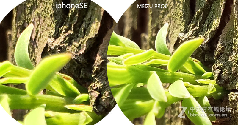 #轻易不说完美# 魅族PRO6专项测评(一)——【PRO6/iPhoneSE/iPhone6s】相机PK战