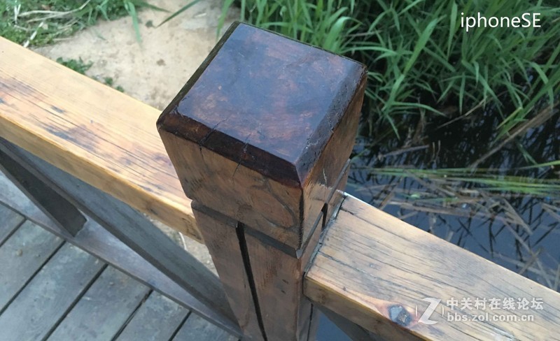 #轻易不说完美# 魅族PRO6专项测评(一)——【PRO6/iPhoneSE/iPhone6s】相机PK战