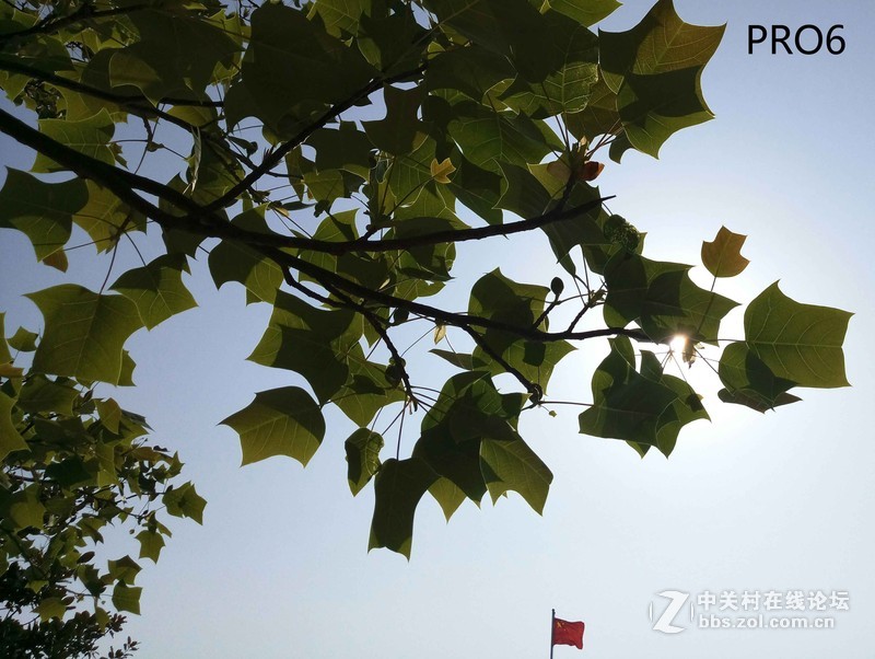 #轻易不说完美# 魅族PRO6专项测评(一)——【PRO6/iPhoneSE/iPhone6s】相机PK战