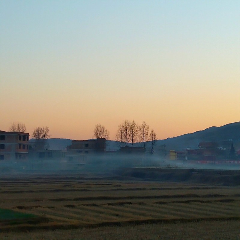 小牛6逆光表现不俗