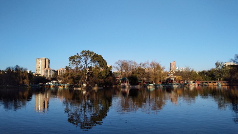 小牛6逆光表现不俗