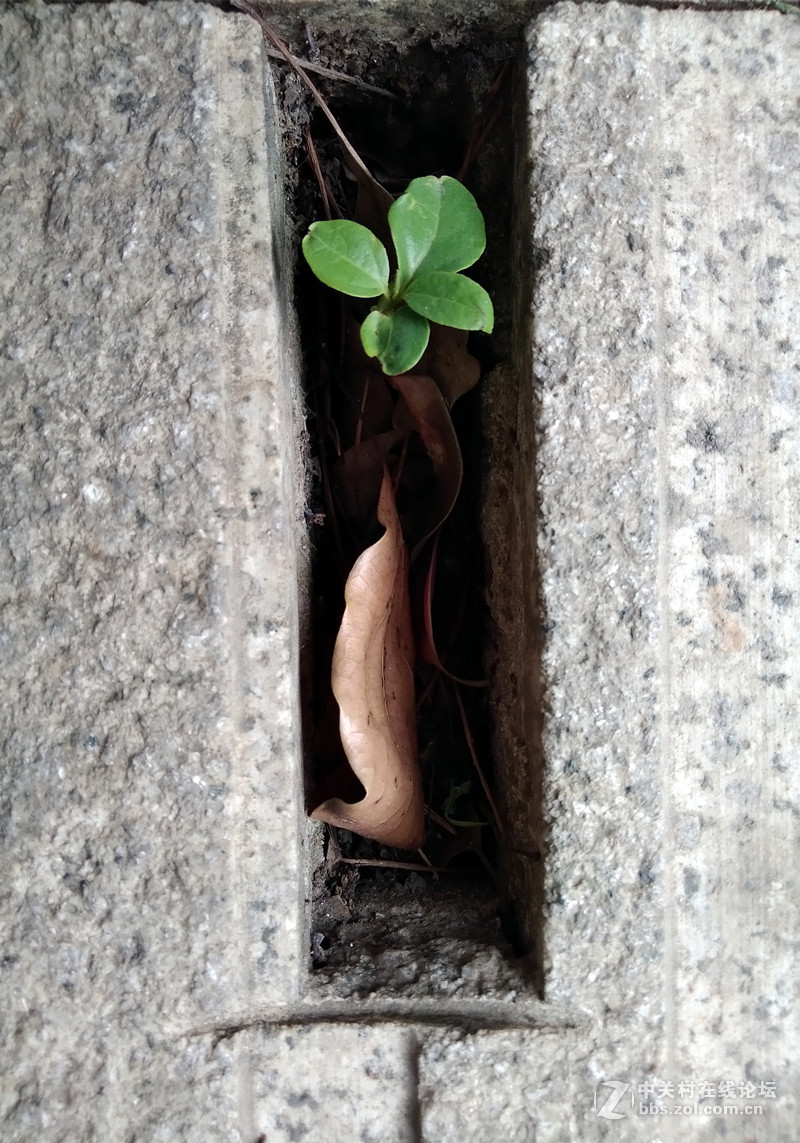 【荣耀畅玩6A试用】流畅+颜值 实力并存 对却不贵