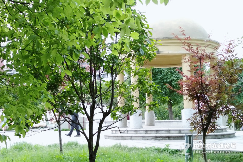 【荣耀畅玩6A试用】流畅+颜值 实力并存 对却不贵