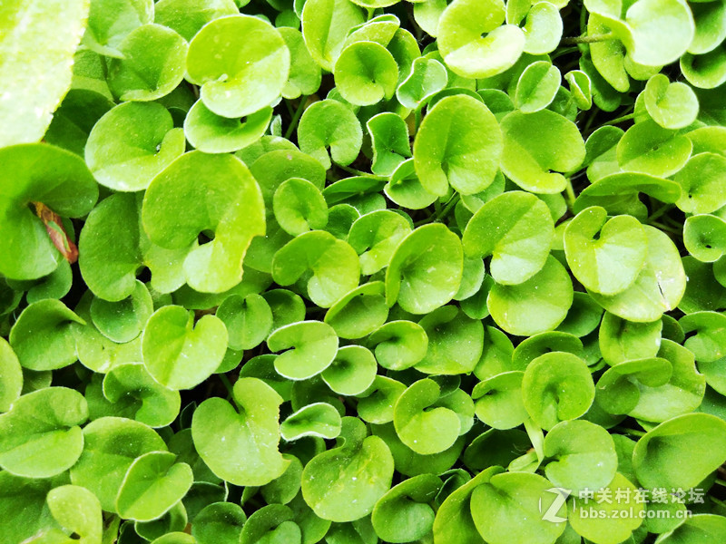 【荣耀畅玩6A试用】流畅+颜值 实力并存 对却不贵