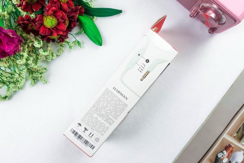 独有的美味，被声音融化—JBL T205半入耳式耳机体验