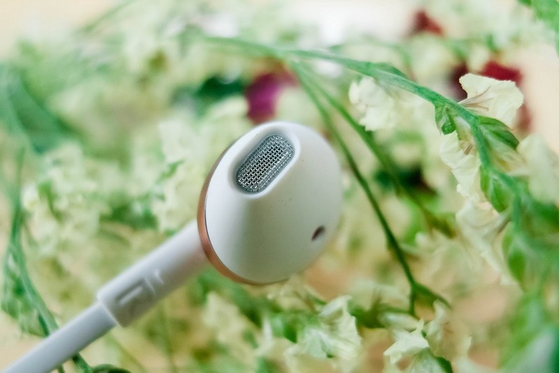 独有的美味，被声音融化—JBL T205半入耳式耳机体验