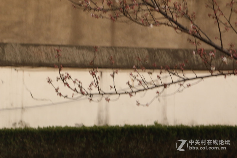 牛皮纸夕阳风格片