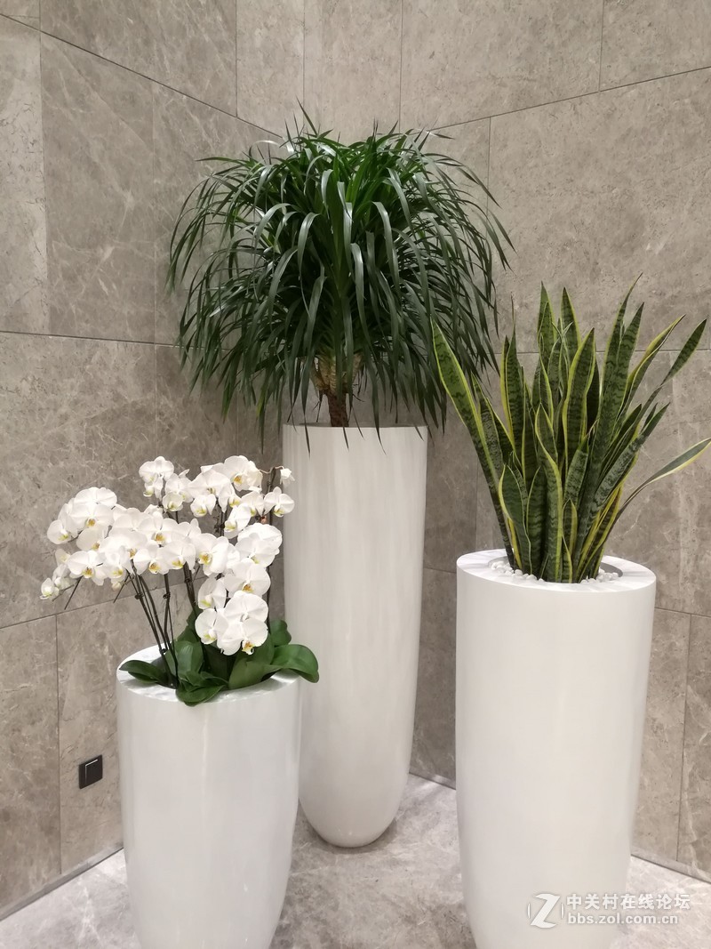 mate 8 PK 6s plus 拍照能力