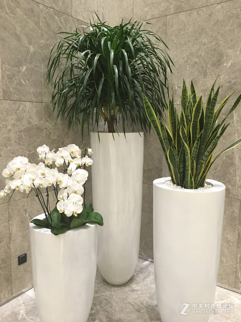 mate 8 PK 6s plus 拍照能力