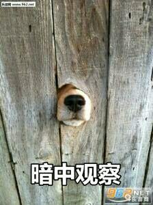 说说我的心里话吧