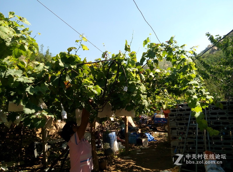 魅蓝2拍照体验  原图