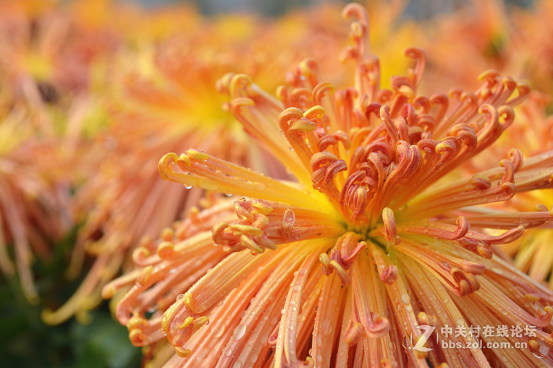 翻出来以前的照片和大家分享下（没有d3100的星空(中国)了？）