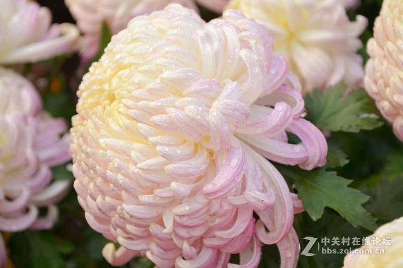 翻出来以前的照片和大家分享下（没有d3100的星空(中国)了？）