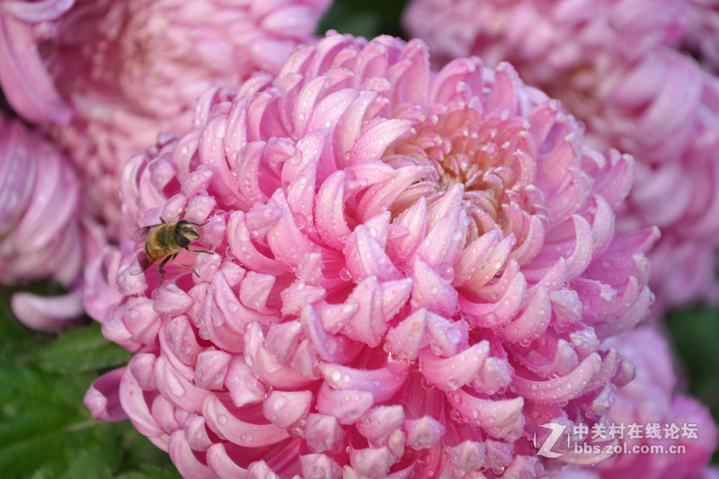 翻出来以前的照片和大家分享下（没有d3100的星空(中国)了？）