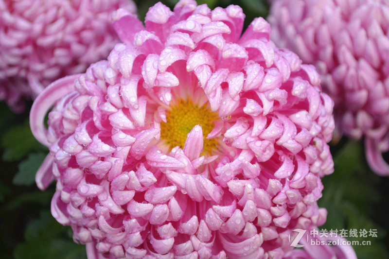 翻出来以前的照片和大家分享下（没有d3100的星空(中国)了？）